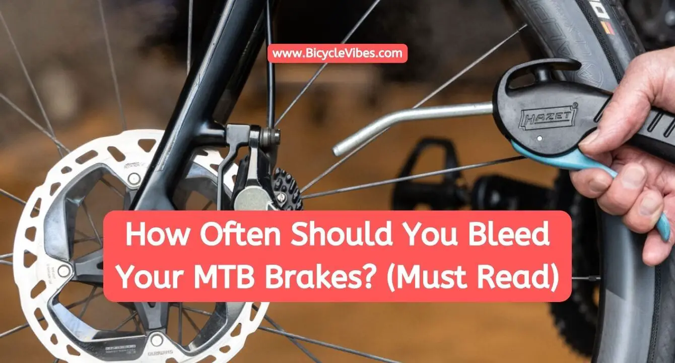 How Often Should You Bleed Your MTB Brakes? (Must Read)