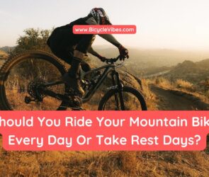 Should You Ride Your Mountain Bike Every Day Or Take Rest Days?