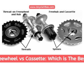 Freewheel vs Cassette: Which is The Best?