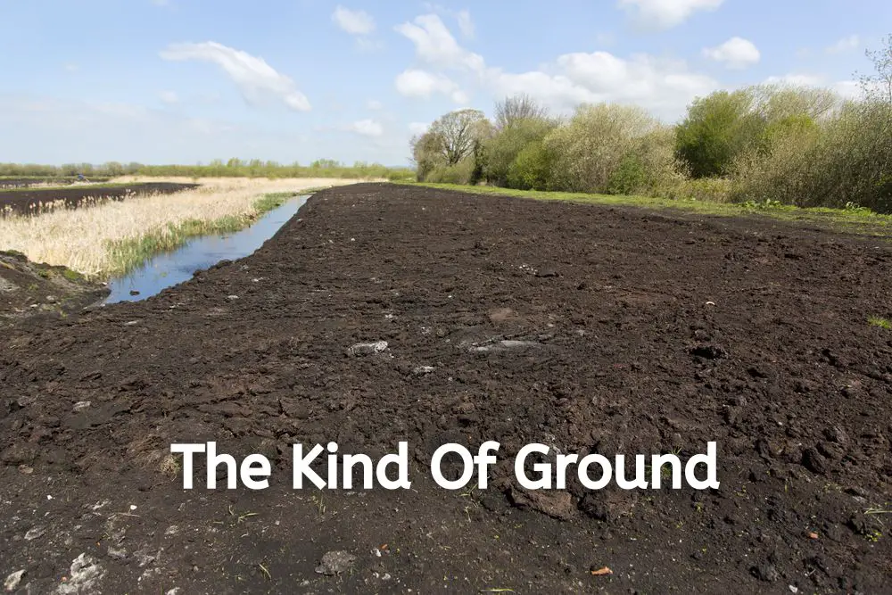 The Kind Of Ground