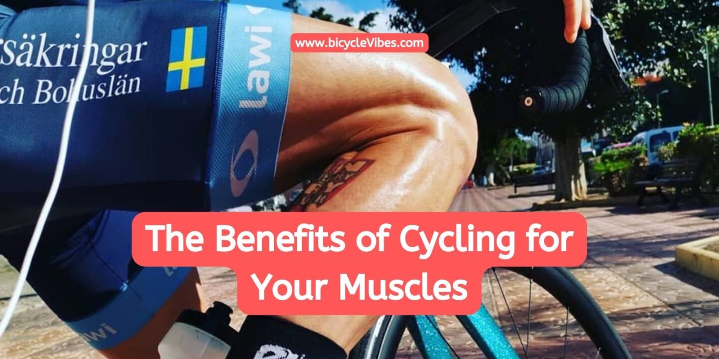The Benefits of Cycling for Your Muscles