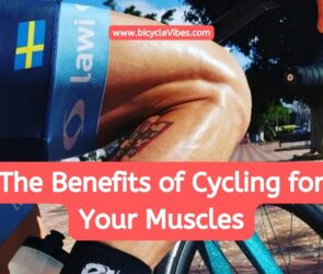 The Benefits of Cycling for Your Muscles
