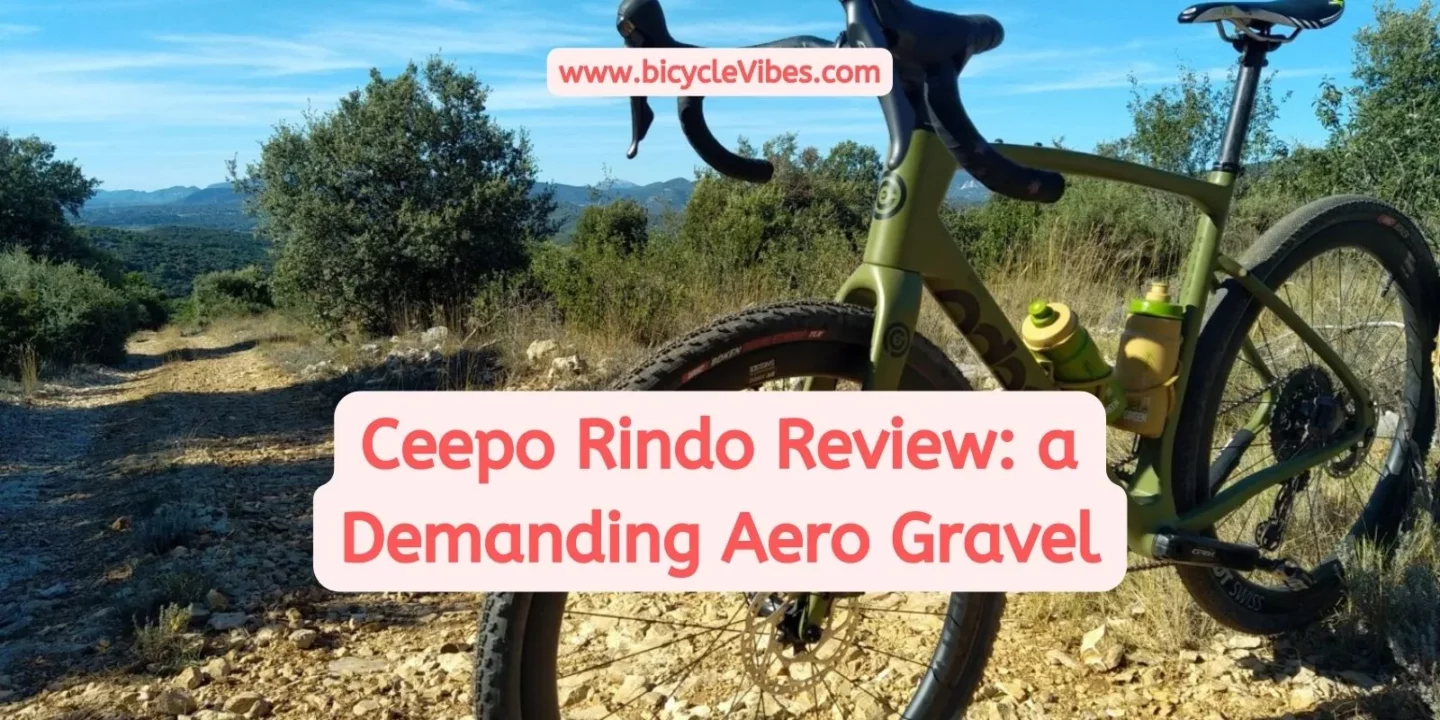 Ceepo Rindo Review a Demanding Aero Gravel