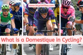 What is a Domestique in Cycling